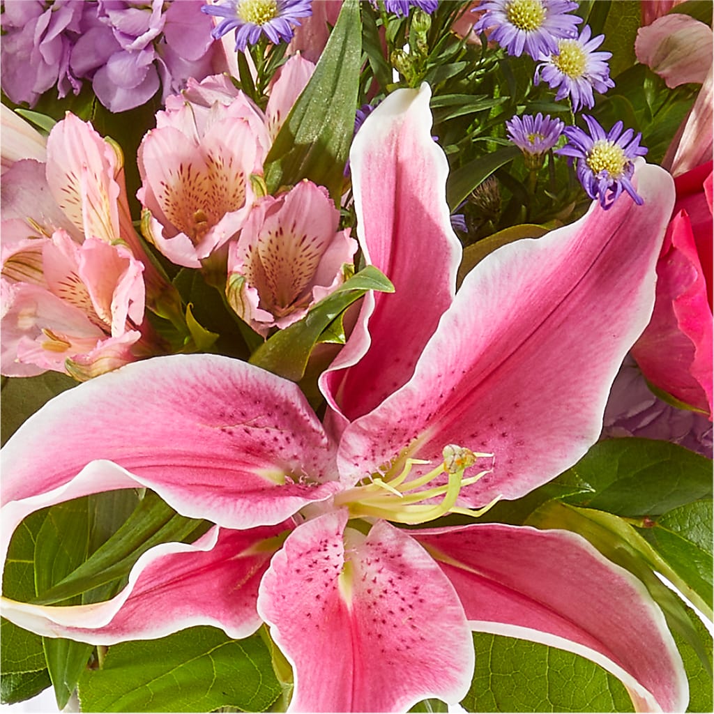 Written in the Stars Bouquet –  Depot Des Fleurs, Montreal PQ