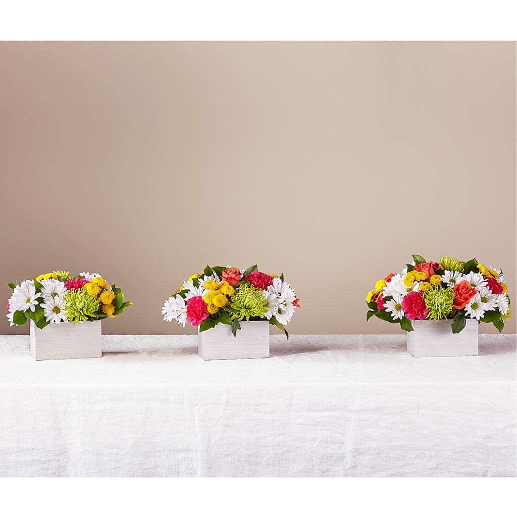 Sorbet Bouquet –  Depot Des Fleurs, Montreal PQ