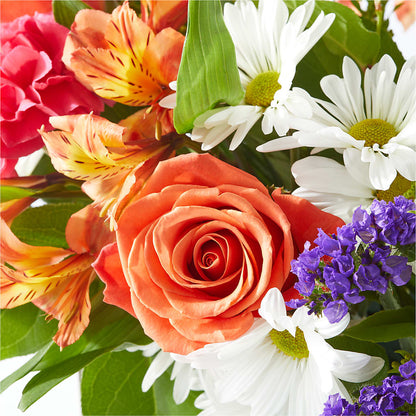Oopsie Daisy Box Bouquet –  Depot Des Fleurs, Montreal PQ