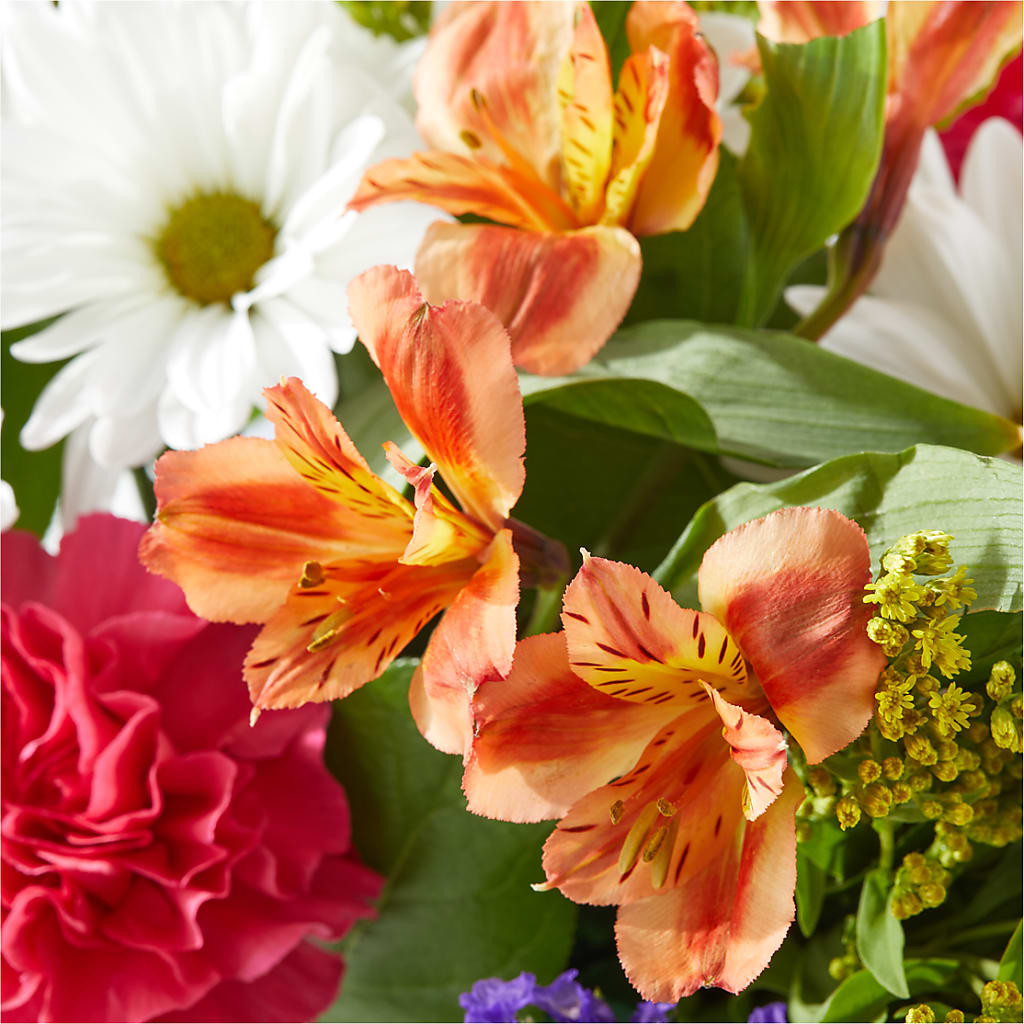 Oopsie Daisy Box Bouquet –  Depot Des Fleurs, Montreal PQ
