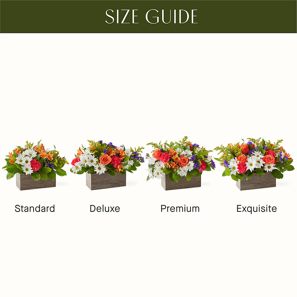 Oopsie Daisy Box Bouquet –  Depot Des Fleurs, Montreal PQ