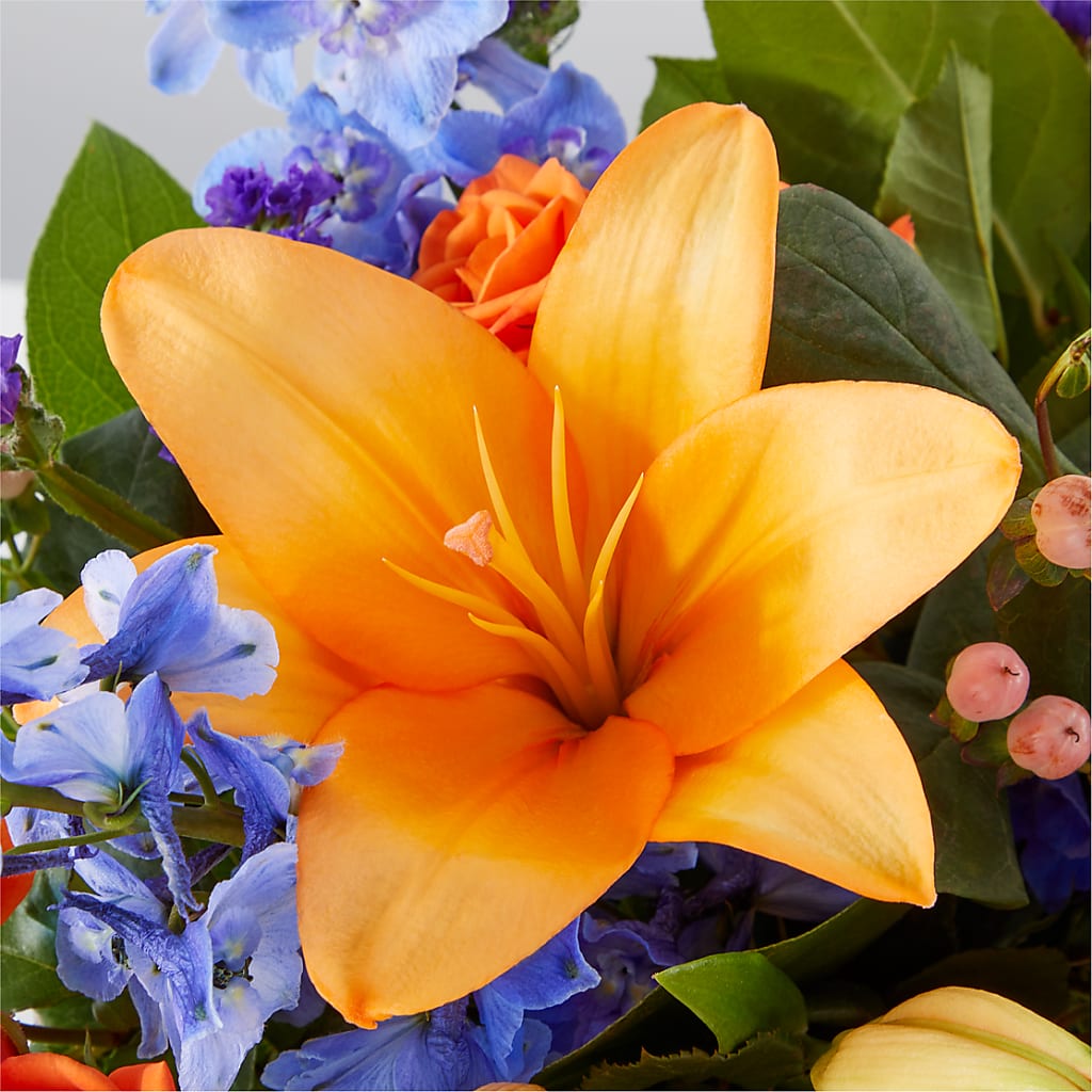 Radiant Citrus Box Bouquet –  Depot Des Fleurs, Montreal PQ
