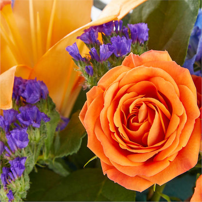 Radiant Citrus Box Bouquet –  Depot Des Fleurs, Montreal PQ