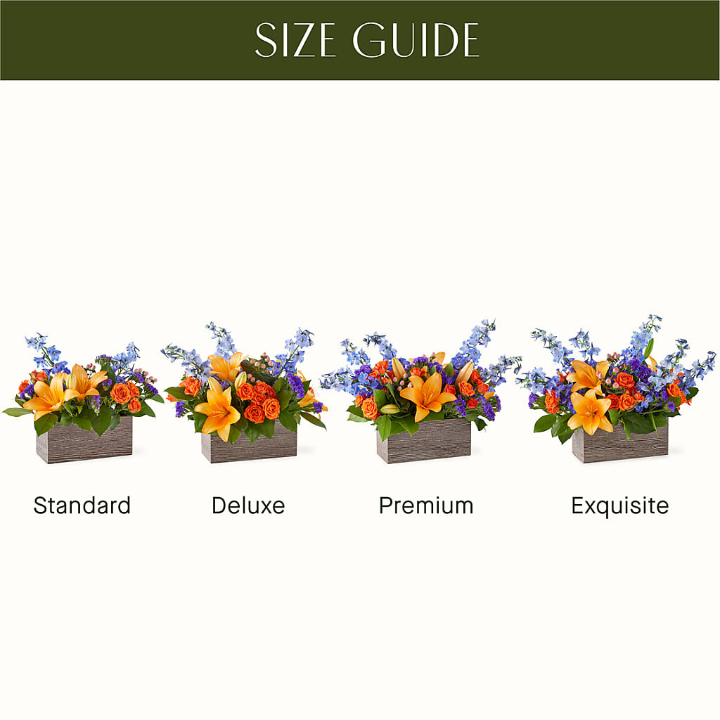 Radiant Citrus Box Bouquet –  Depot Des Fleurs, Montreal PQ