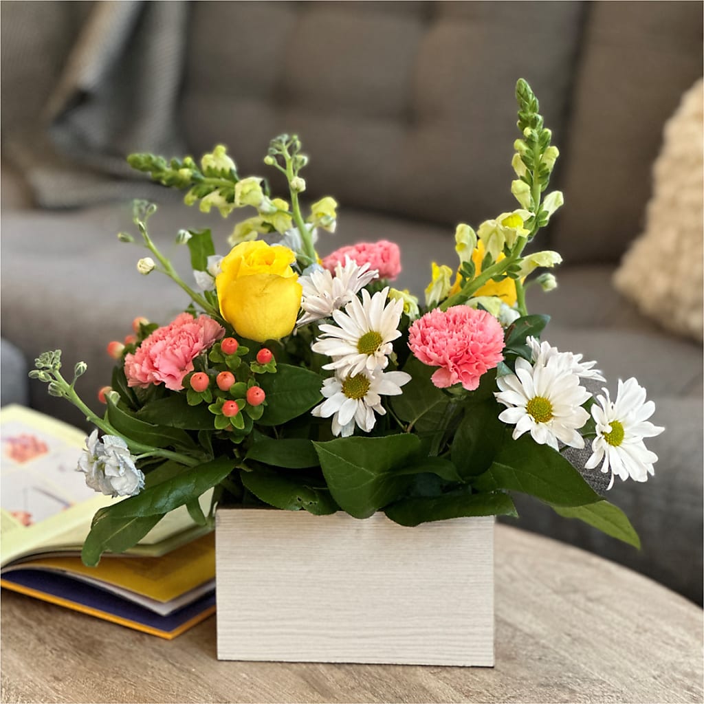 Sun Salutation Box Bouquet –  Depot Des Fleurs, Montreal PQ