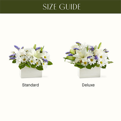 Beyond Blue Box Bouquet –  Depot Des Fleurs, Montreal PQ