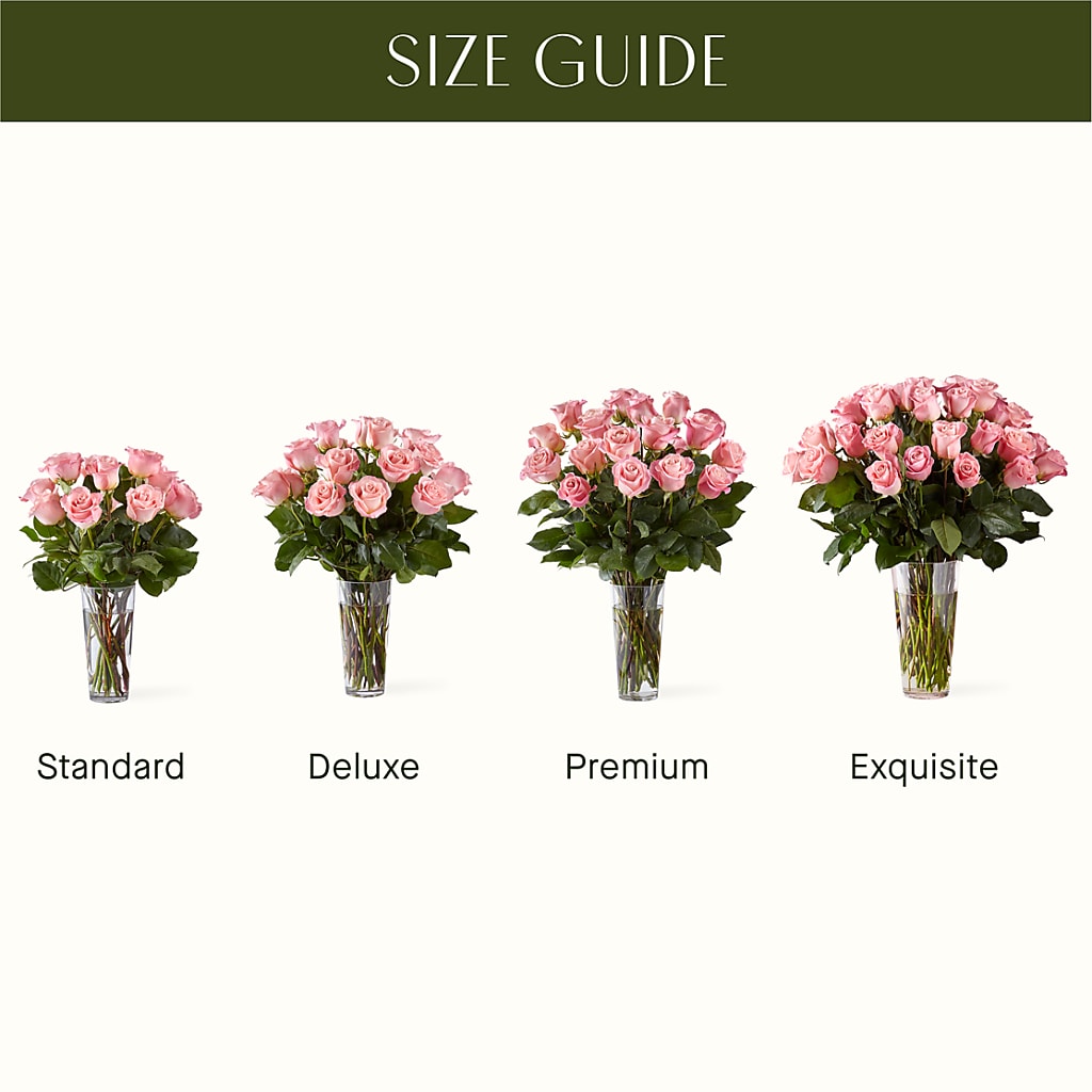 Long Stem Pink Rose Bouquet –  Depot Des Fleurs, Montreal PQ
