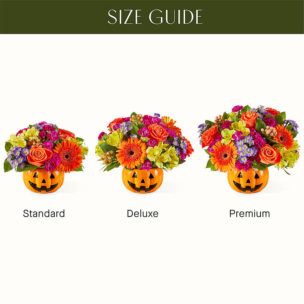 Tricks & Treats Pumpkin –  Depot Des Fleurs, Montreal PQ