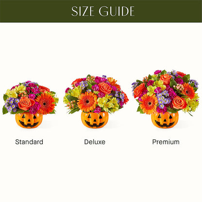 Tricks & Treats Pumpkin –  Depot Des Fleurs, Montreal PQ