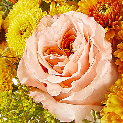 Peachy Pumpkin –  Depot Des Fleurs, Montreal PQ