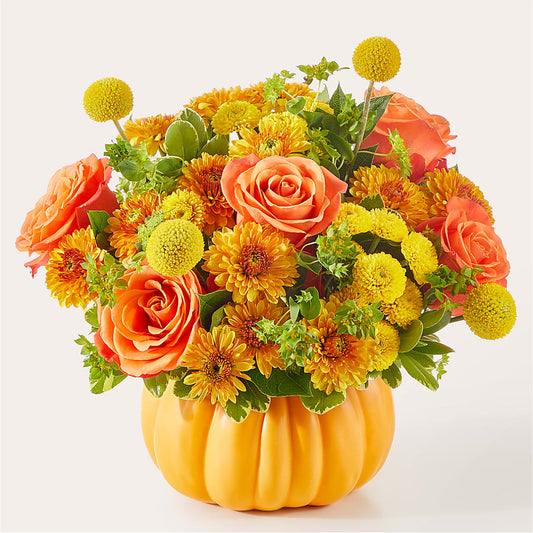 Gourdgeous Pumpkin –  Depot Des Fleurs, Montreal PQ