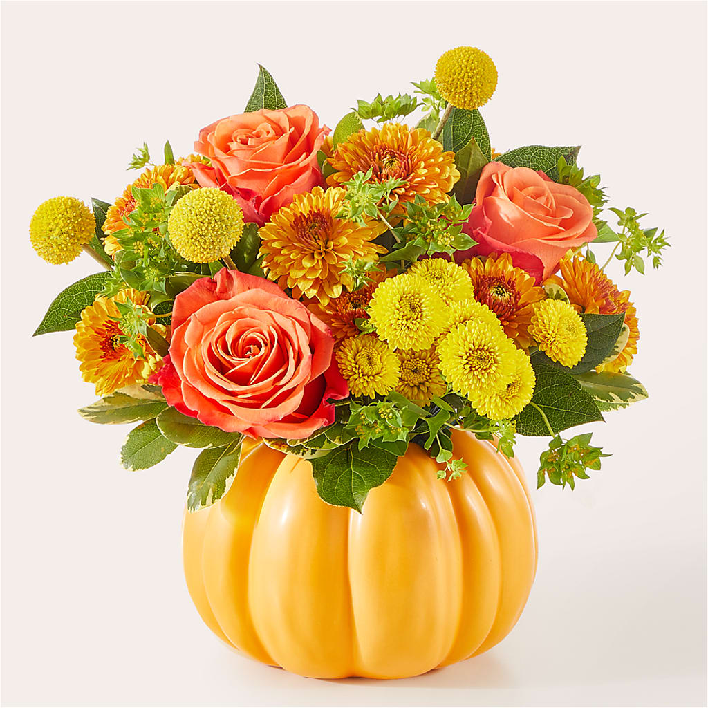 Gourdgeous Pumpkin –  Depot Des Fleurs, Montreal PQ