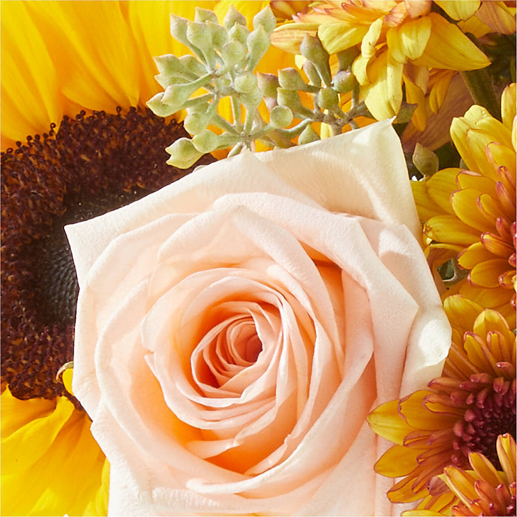 Pumpkin to Talk About Bouquet –  Depot Des Fleurs, Montreal PQ