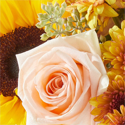 Pumpkin to Talk About Bouquet –  Depot Des Fleurs, Montreal PQ