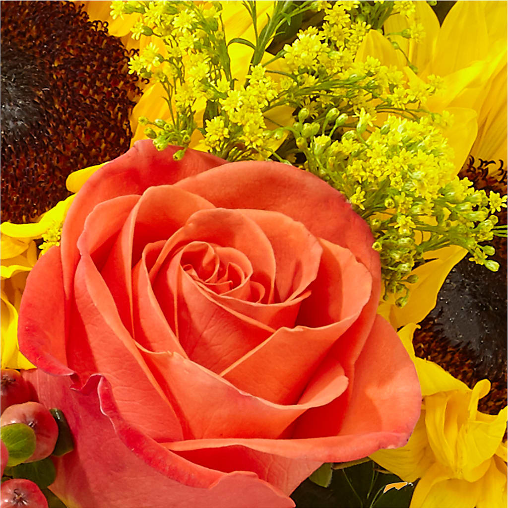 Pick of the Patch Pumpkin Bouquet –  Depot Des Fleurs, Montreal PQ
