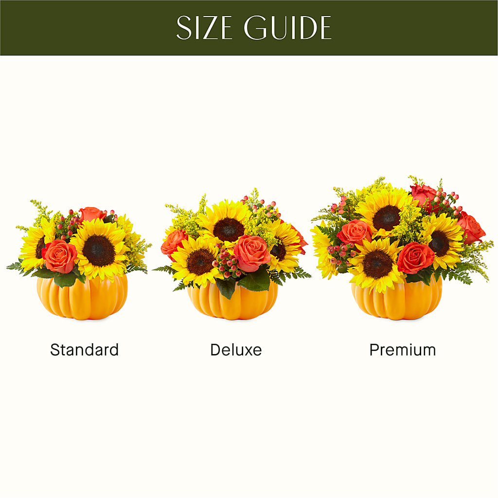 Pick of the Patch Pumpkin Bouquet –  Depot Des Fleurs, Montreal PQ