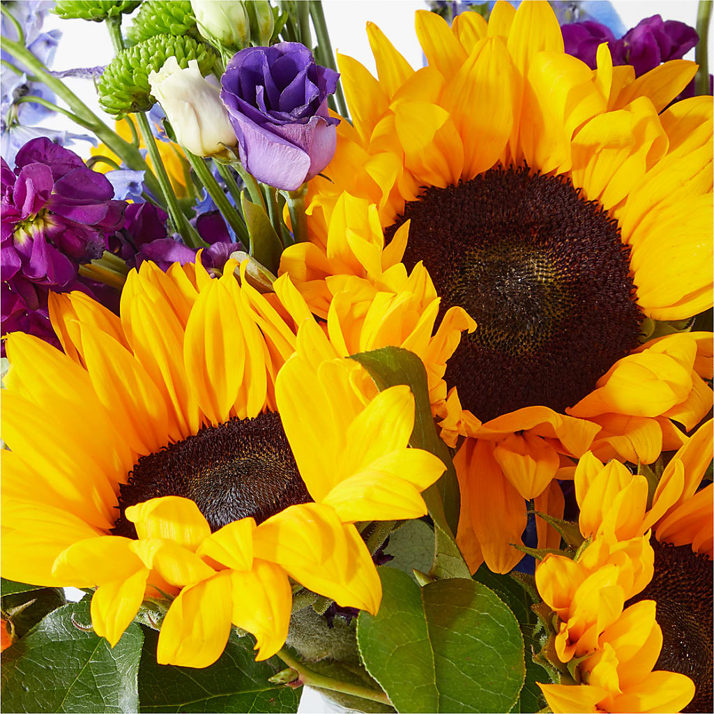 Catching Rays Bouquet –  Depot Des Fleurs, Montreal PQ