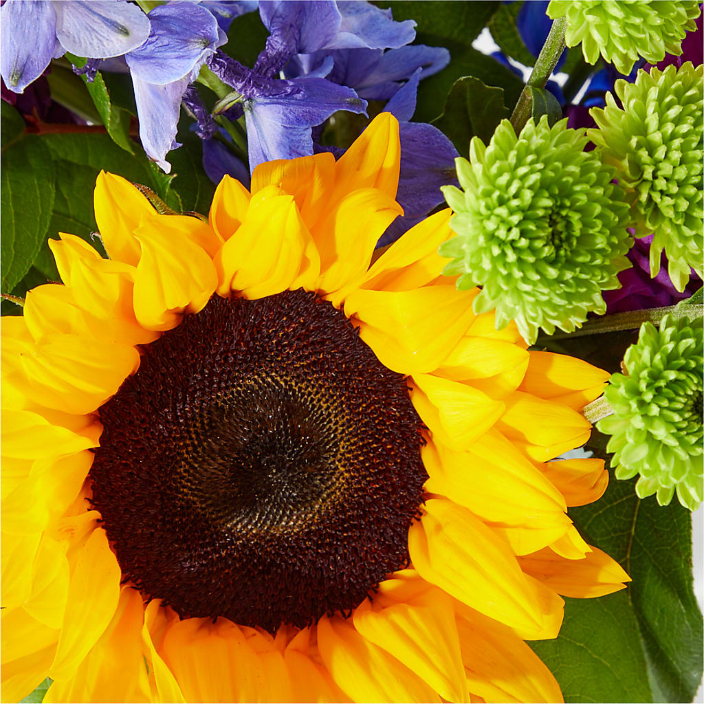 Catching Rays Bouquet –  Depot Des Fleurs, Montreal PQ