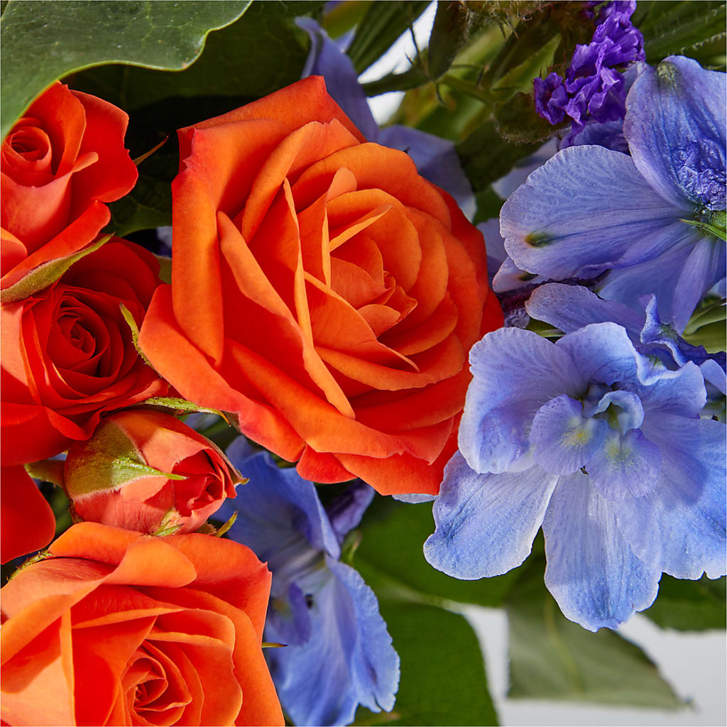 Radiant Citrus Bouquet –  Depot Des Fleurs, Montreal PQ