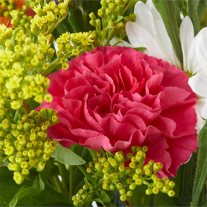 Oopsie Daisy Bouquet –  Depot Des Fleurs, Montreal PQ