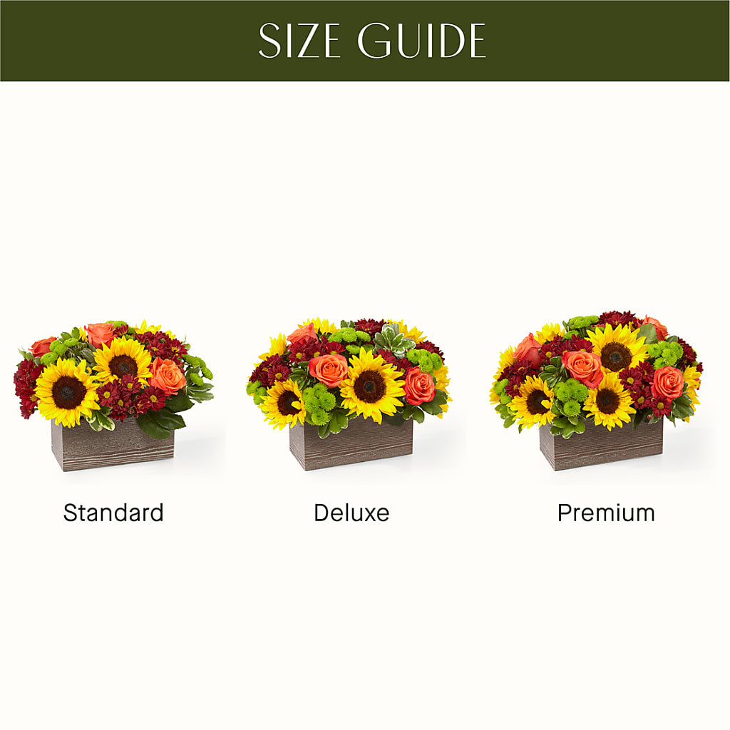 Happy Harvest Garden –  Depot Des Fleurs, Montreal PQ