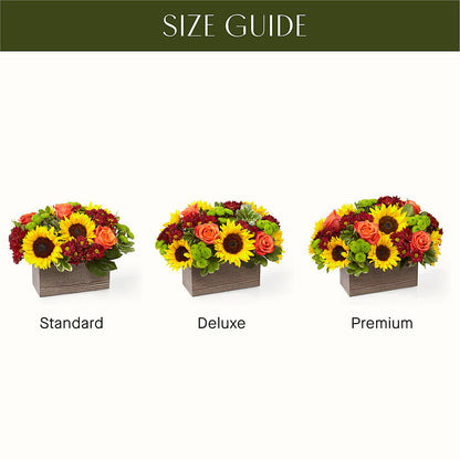 Happy Harvest Garden –  Depot Des Fleurs, Montreal PQ