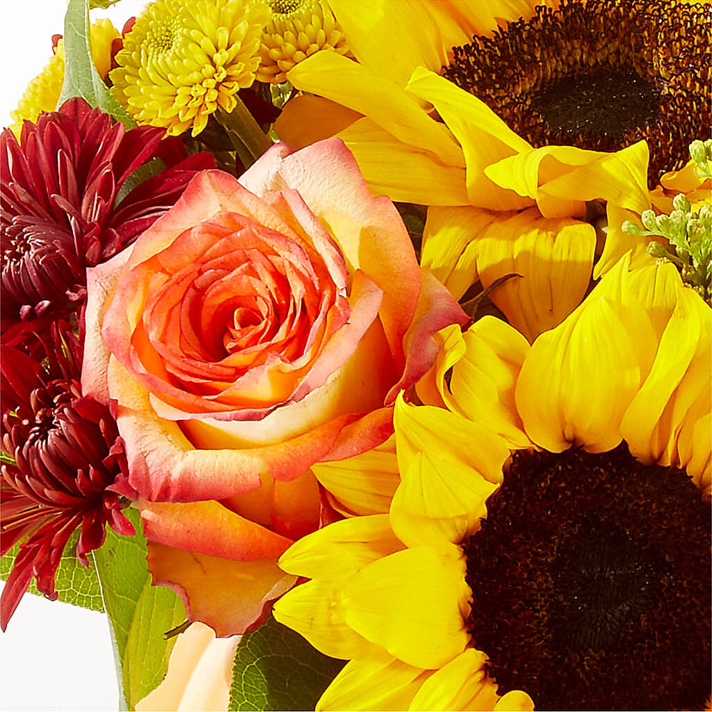 Golden Gourd Pumpkin Bouquet –  Depot Des Fleurs, Montreal PQ