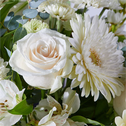 New Beginnings – A Florist Original –  Depot Des Fleurs, Montreal PQ