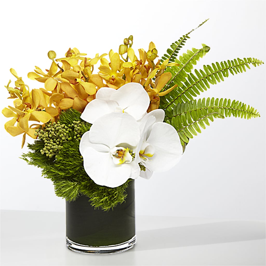 The Tropics –  Depot Des Fleurs, Montreal PQ