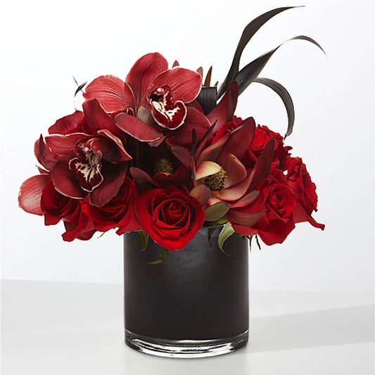 The Eclipse –  Depot Des Fleurs, Montreal PQ