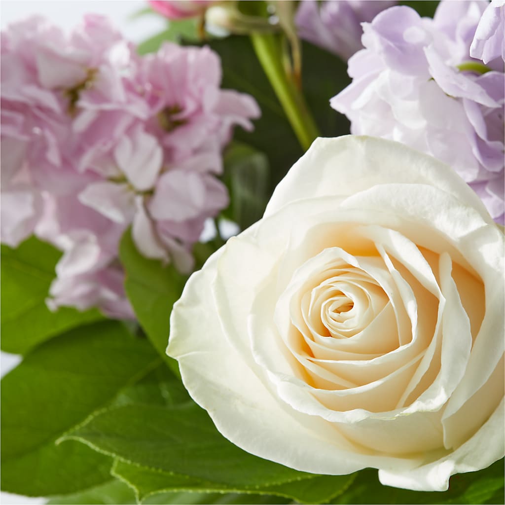 Springtime Spritz Bouquet –  Depot Des Fleurs, Montreal PQ