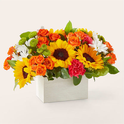 Sun-drenched Blooms Box Bouquet –  Depot Des Fleurs, Montreal PQ
