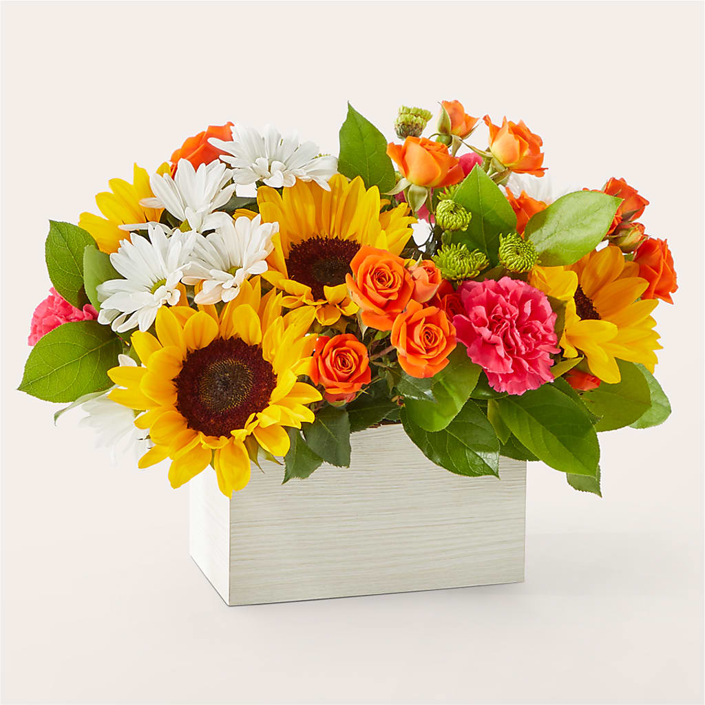 Sun-drenched Blooms Box Bouquet –  Depot Des Fleurs, Montreal PQ