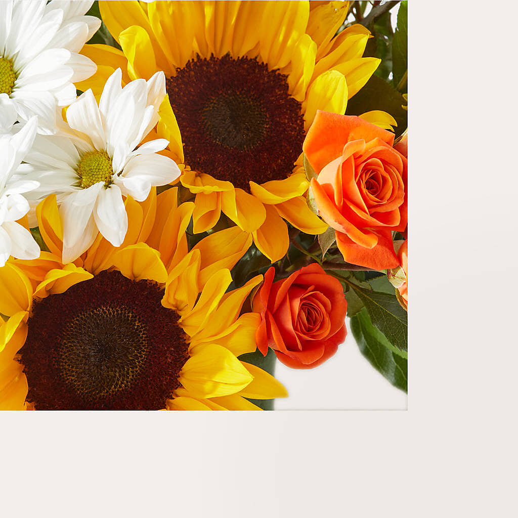 Sun-drenched Blooms Box Bouquet –  Depot Des Fleurs, Montreal PQ