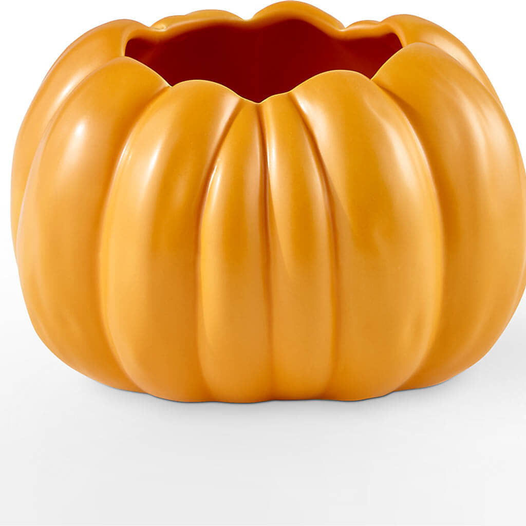 Golden Gourd Pumpkin Bouquet –  Depot Des Fleurs, Montreal PQ