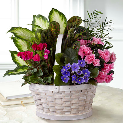 Peaceful Garden Planter –  Depot Des Fleurs, Montreal PQ