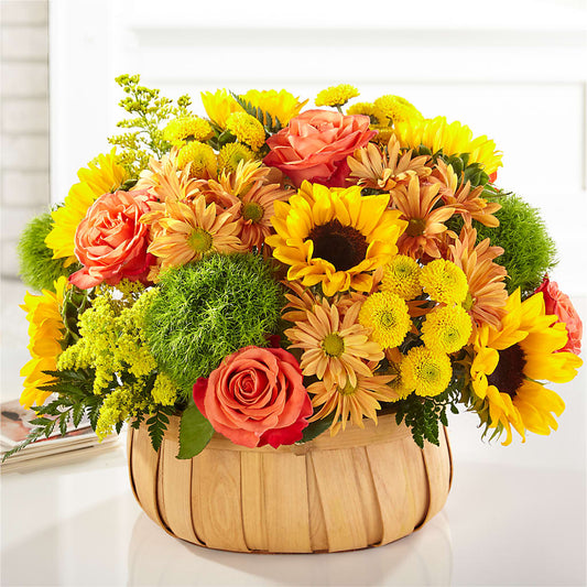 Harvest Sunflower Basket –  Depot Des Fleurs, Montreal PQ