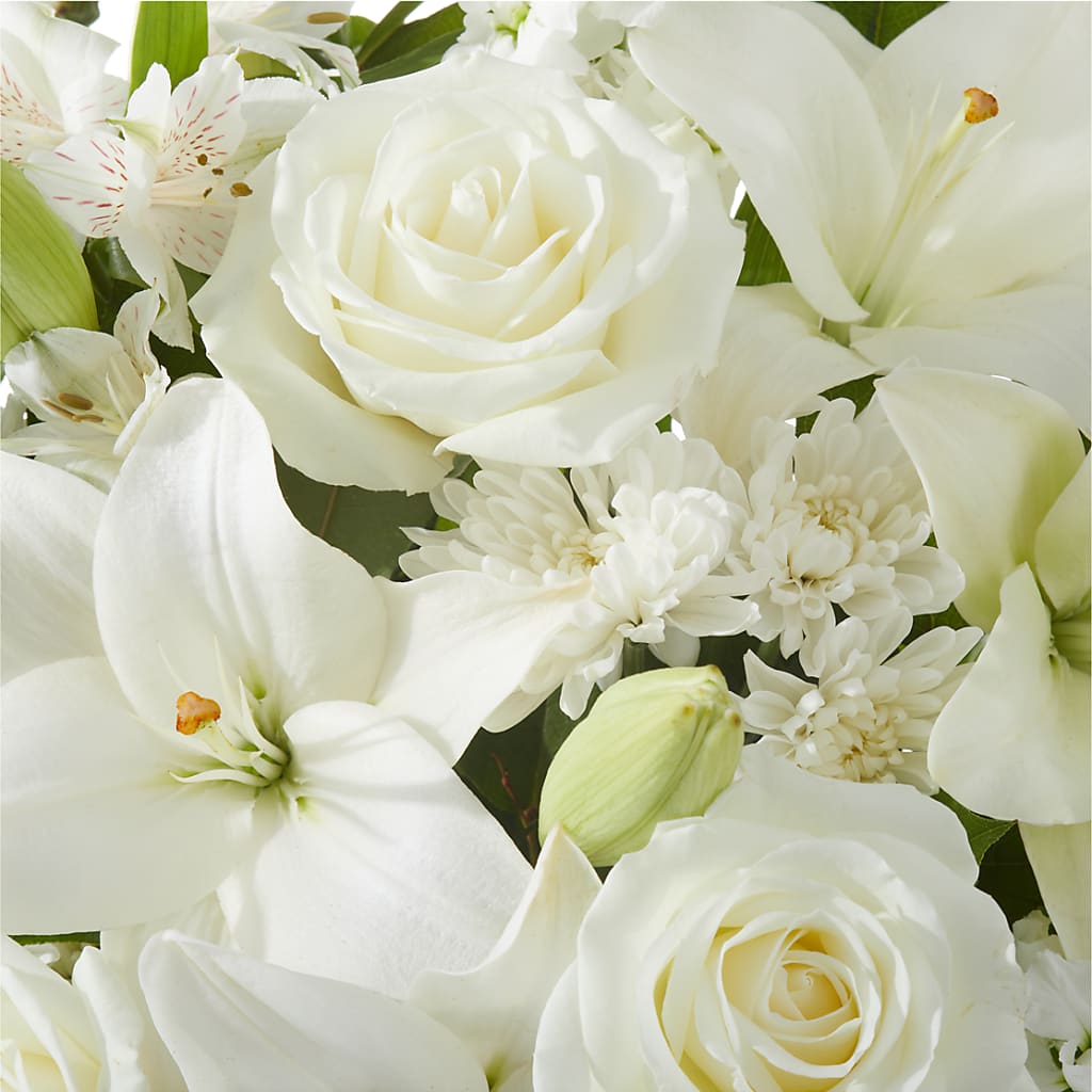 Peaceful Reflections Arrangement –  Depot Des Fleurs, Montreal PQ