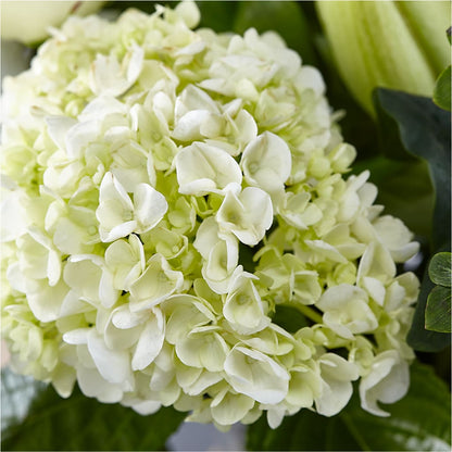 Classic Ivory – A Florist Original –  Depot Des Fleurs, Montreal PQ