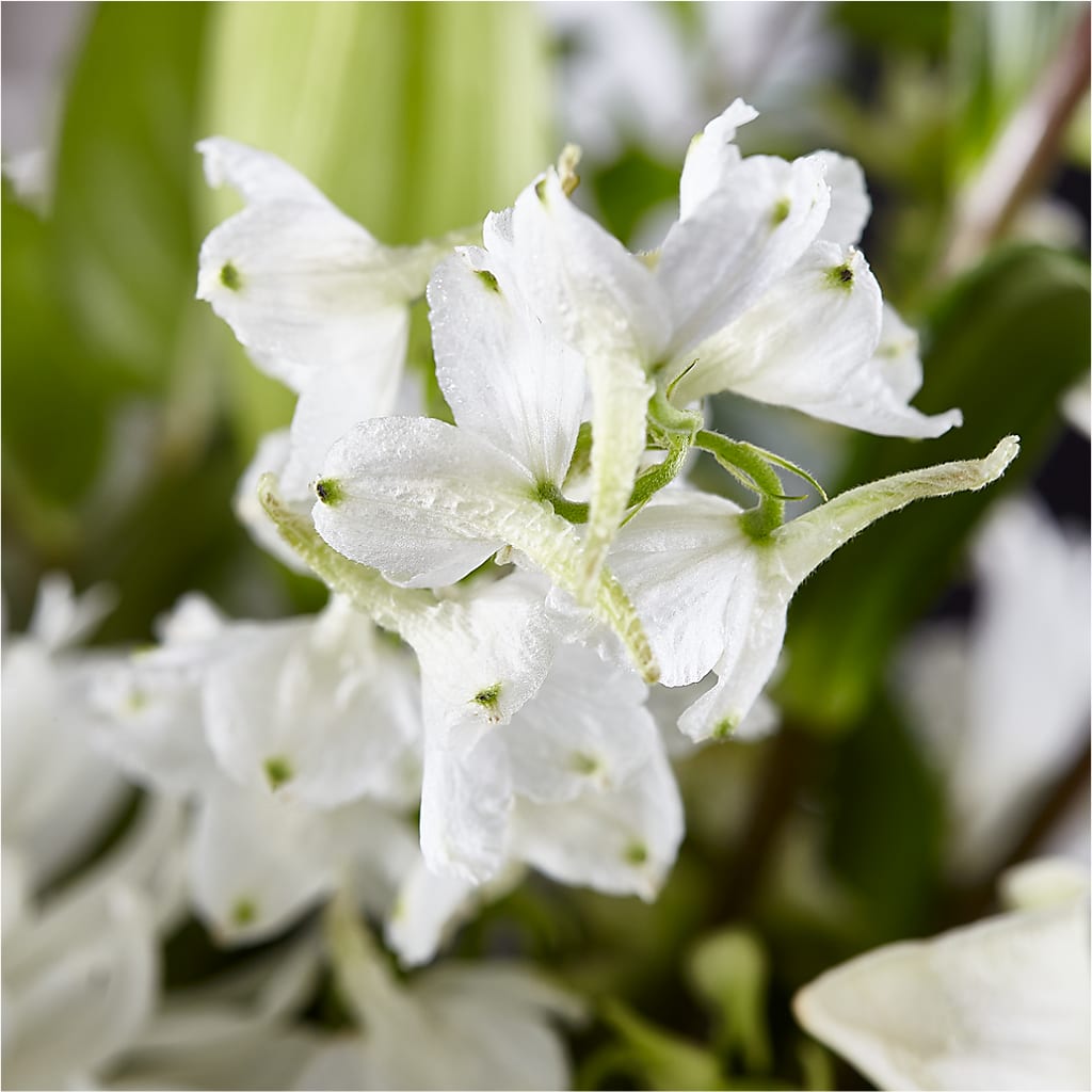 Classic Ivory – A Florist Original –  Depot Des Fleurs, Montreal PQ