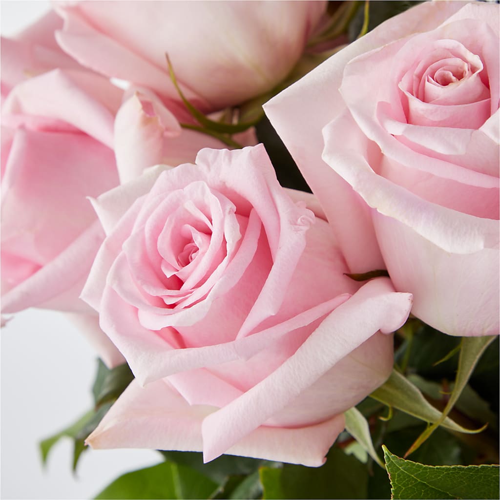 Picture Perfect Pink Rose Bouquet –  Depot Des Fleurs, Montreal PQ