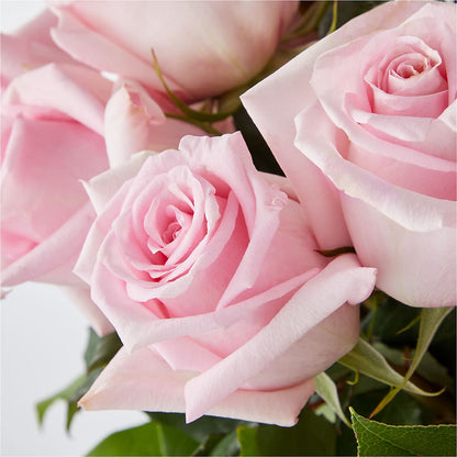 Picture Perfect Pink Rose Bouquet –  Depot Des Fleurs, Montreal PQ