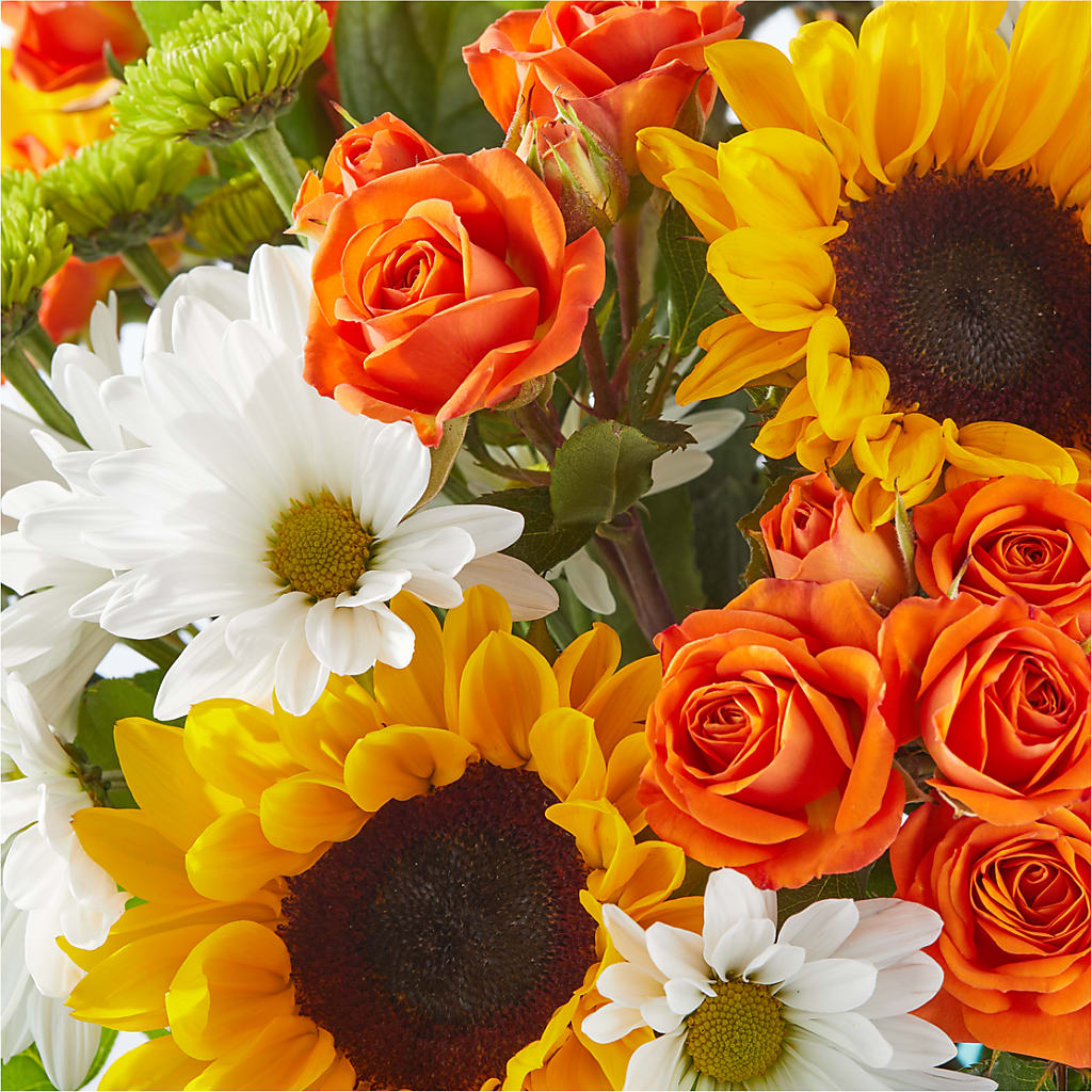 Sun-drenched Blooms Bouquet –  Depot Des Fleurs, Montreal PQ