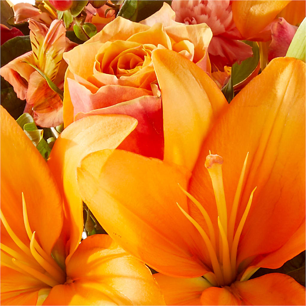 Afternoon Light Bouquet –  Depot Des Fleurs, Montreal PQ