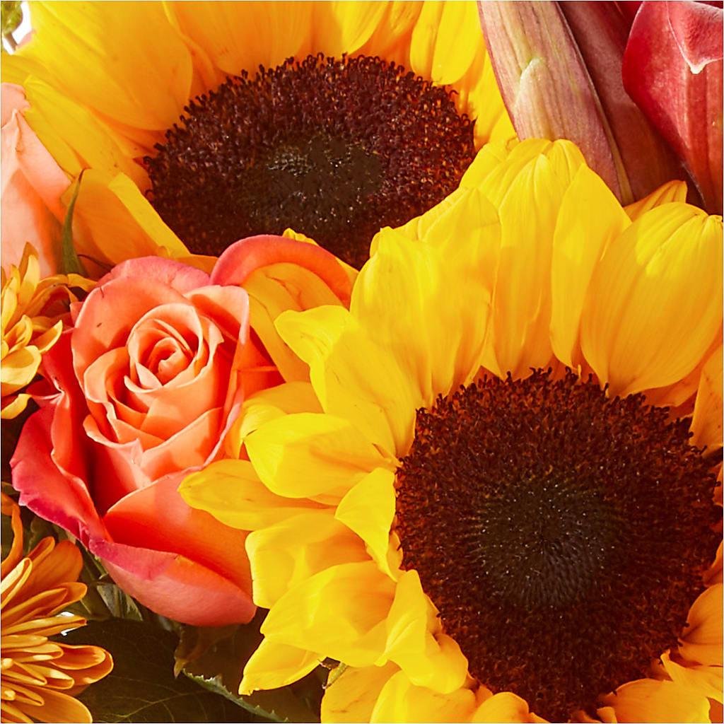 Acorn Lane Bouquet –  Depot Des Fleurs, Montreal PQ