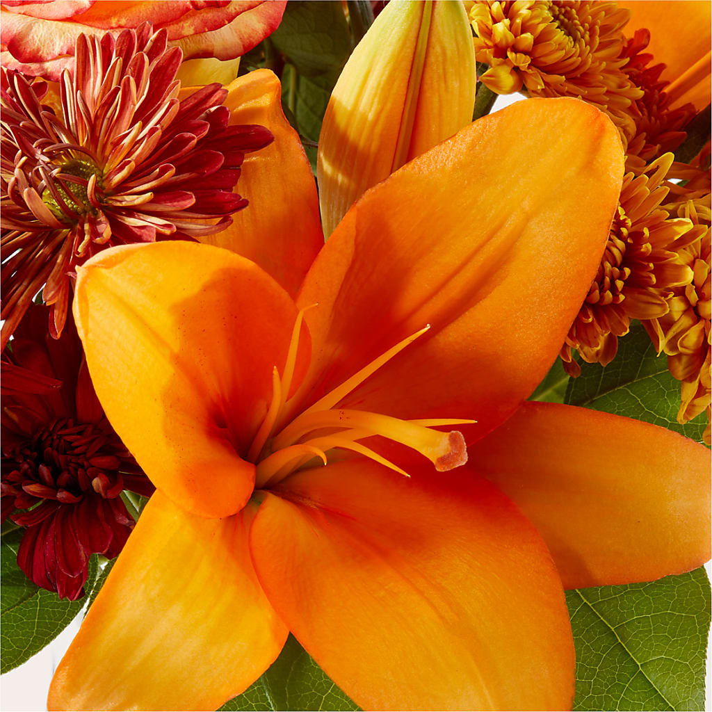Autumnal Aroma Bouquet –  Depot Des Fleurs, Montreal PQ