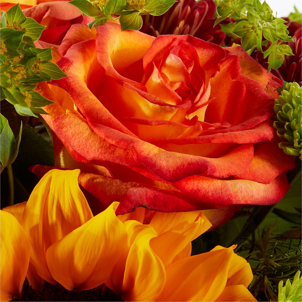 Harvest Festival Bouquet –  Depot Des Fleurs, Montreal PQ