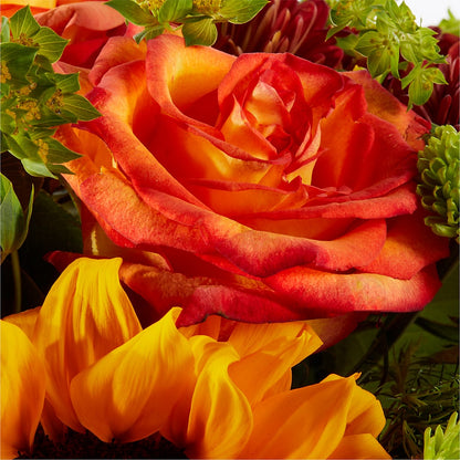 Harvest Festival Bouquet –  Depot Des Fleurs, Montreal PQ