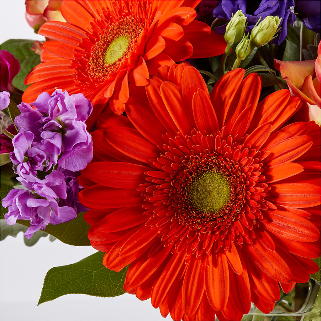 Sangria Bouquet –  Depot Des Fleurs, Montreal PQ