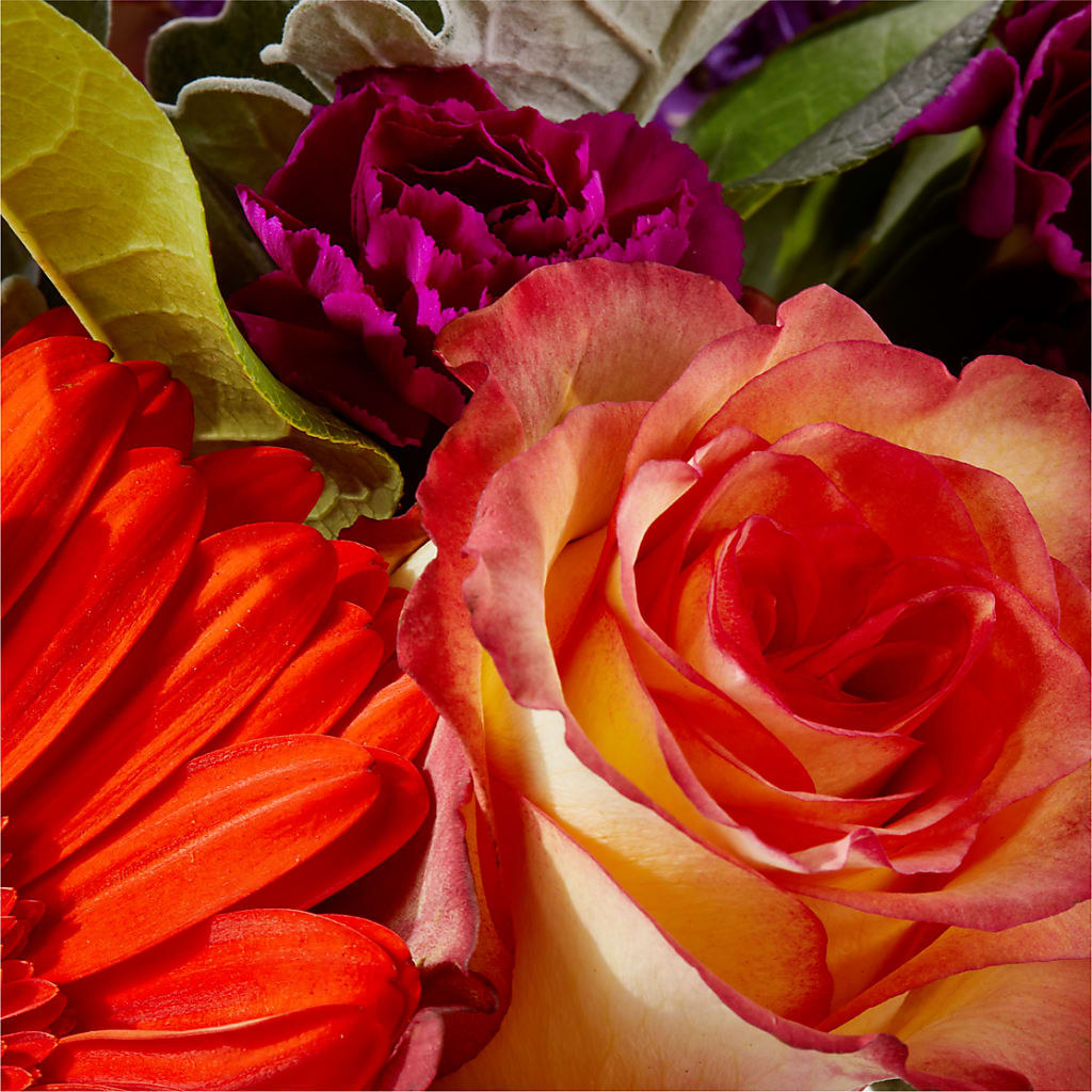 Sangria Bouquet –  Depot Des Fleurs, Montreal PQ
